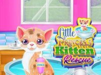 Caring for a Feline Friend: Style & Nurture