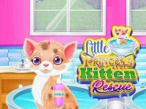 Caring for a Feline Friend: Style & Nurture