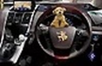 Arabella Gems 4 Hidden Object Puzzle