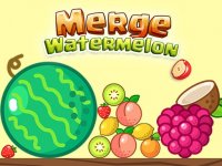 Merge Watermelon Puzzle Game
