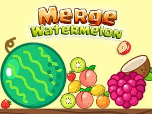 Fruit Merge Puzzle Challenge