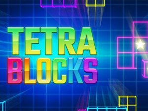 Tetra Blocks Puzzle Game - Block Puzzle Game