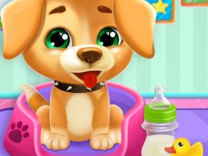 Pet Daycare Arcade Game