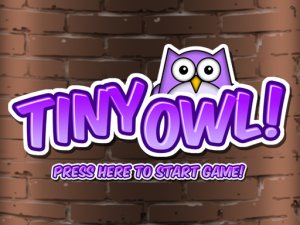 Tiny Owl Online Arcade Game