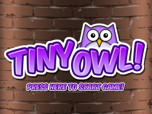 Tiny Owl Online Arcade Game