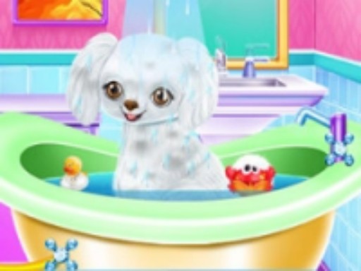 My New Poodle Friend - Pet Care Game Online Pet Care Game