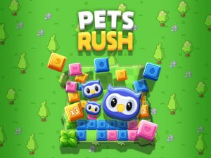 Pet Rush Puzzle Game - Color Match Puzzle