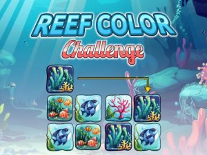 Reef Color Challenge Puzzle Game - Color Matching Arcade