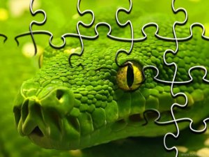 Snakes Jigsaw Puzzle Game