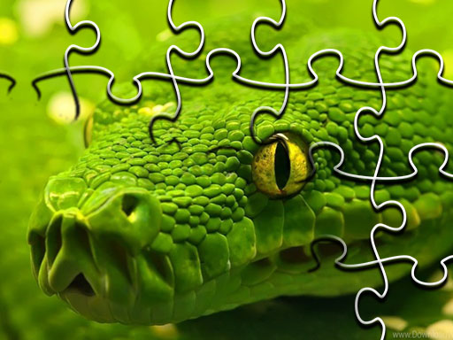 Snakes Jigsaw Puzzle Game
