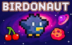 Space Bird Flier: Retro Arcade