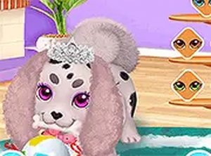 Cute Puppy Care Online Pet Care Game