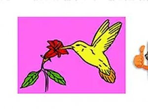 Feathered Friends Coloring Studio